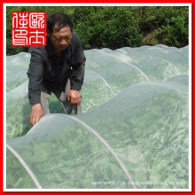 China malha de arame tela de malha de insetos para projeção de estufa